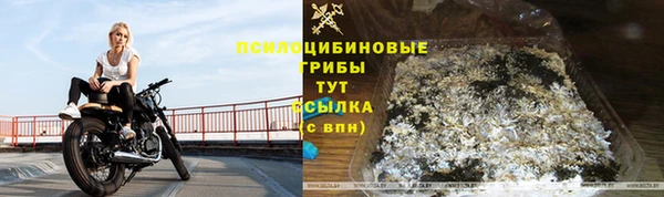 каннабис Елизово