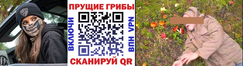 Галлюциногенные грибы MAGIC MUSHROOMS  Козловка 